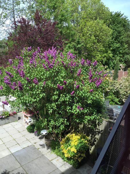 Delft Blue Dreams Bed And Breakfast Cameră foto